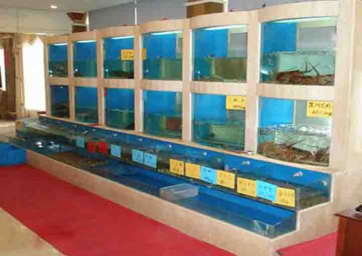 深圳酒店海鲜鱼池、餐饮海鲜池定制  三层海鲜池  海鲜鱼池设计图  饭店海鲜鱼池