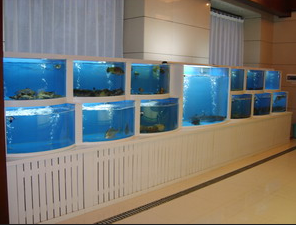 深圳海鲜鱼池价格、三层海鲜鱼池订做  海鲜池设计图  海鲜池厂家  酒店海鲜池