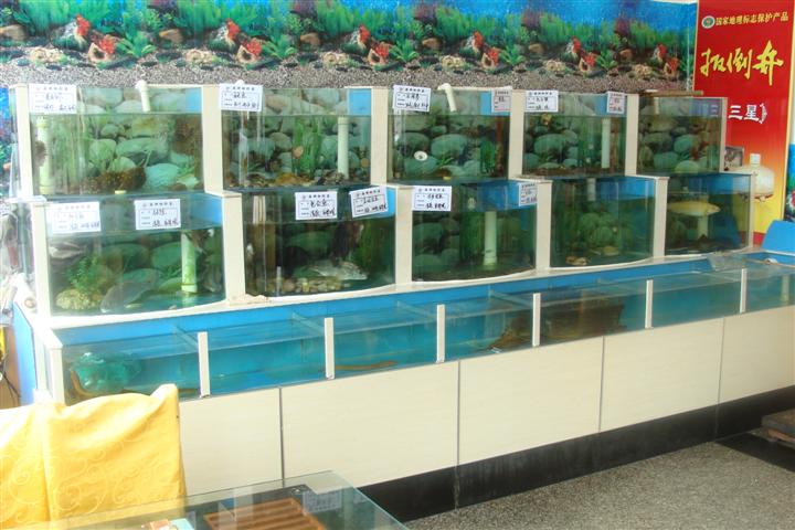 深圳海鲜鱼池价格、三层海鲜鱼池订做  海鲜池设计图  海鲜池厂家  酒店海鲜池