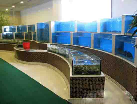 深圳酒店海鲜鱼池、土建海鲜鱼池定做  海鲜鱼池图片  海鲜鱼池设计图  贝类海鲜鱼池
