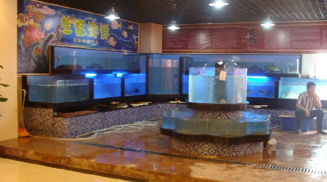深圳酒楼海鲜池、海鲜池制作定做  玻璃海鲜池  三层海鲜鱼池  海鲜池价格