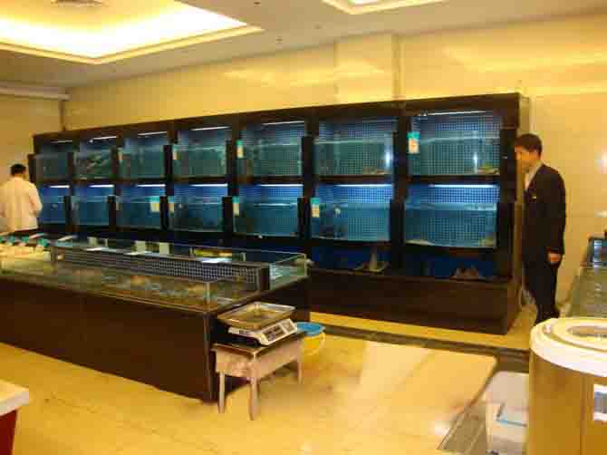 深圳超市海鲜鱼池、酒店海鲜鱼池制作  贝类海鲜池  玻璃海鲜鱼池  土建海鲜鱼池