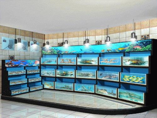 深圳超市海鲜池、海鲜鱼池设备定制  海鲜池定做  海鲜池图片  海鲜鱼池设计图