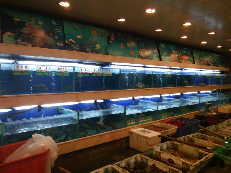 深圳酒店海鲜鱼池、海鲜池设计定制  餐饮海鲜池  三层海鲜鱼池