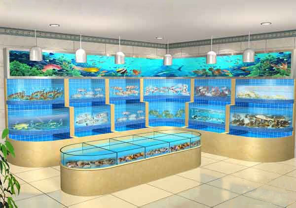 深圳海鲜池制作、超市海鲜鱼池订做  土建海鲜池  饭店海鲜池  海鲜鱼池设备