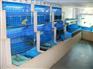 深圳餐饮海鲜池、海鲜池图片制作