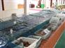 深圳海鲜鱼池设备、海鲜鱼池制作工程制作