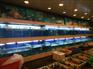 深圳饭店海鲜鱼池、超市海鲜池设计