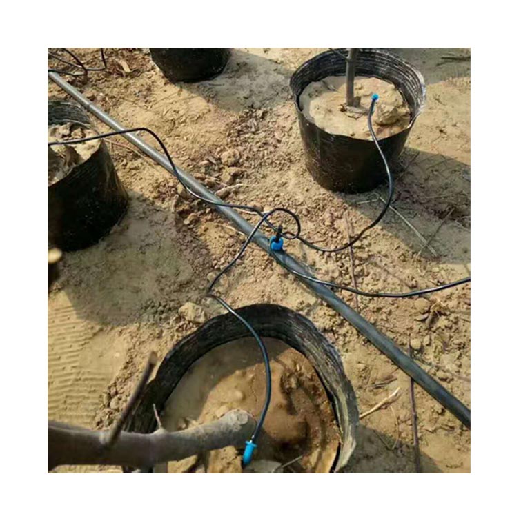 江苏兰花盆栽滴灌系统特点和组成  江苏兰花滴灌  江苏滴灌系统