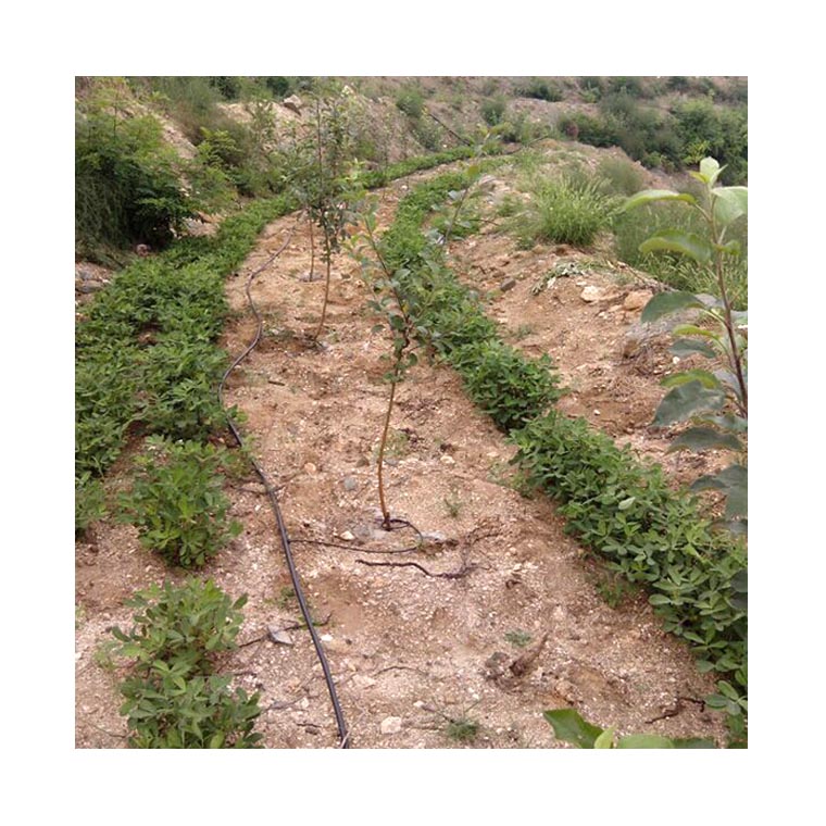 锦州山地果树滴灌安装材料清单  锦州果树滴灌