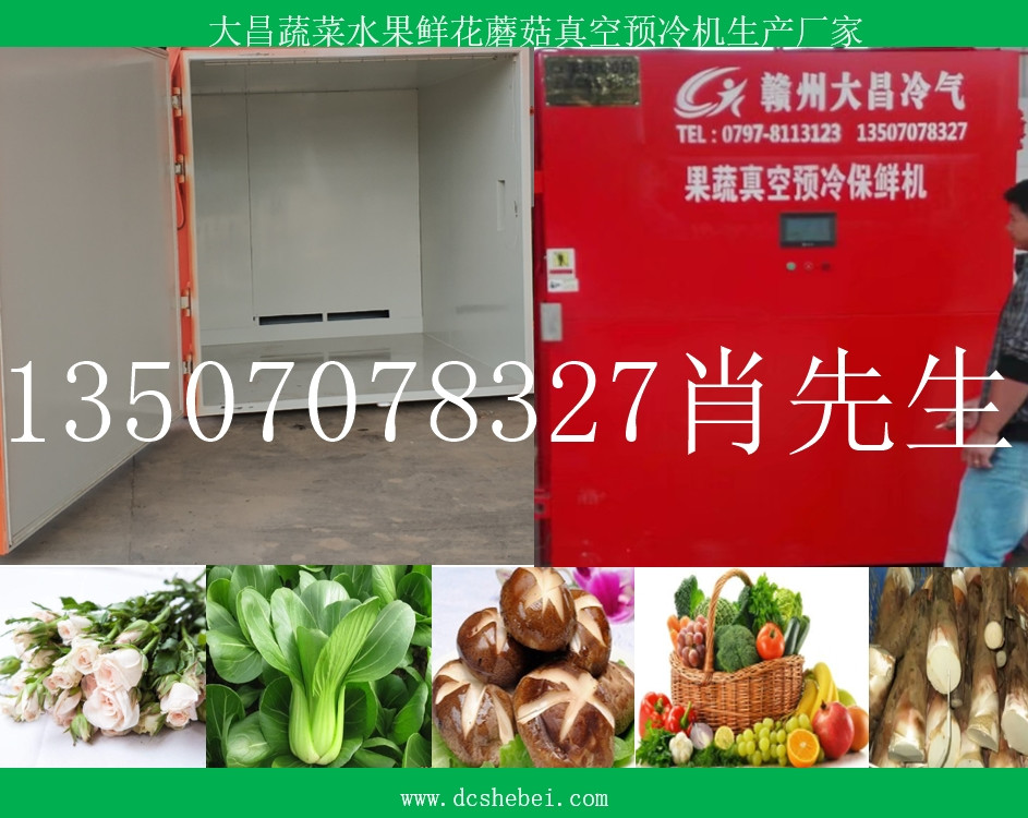 双槽蔬菜真空预冷机厂家  双槽真空预冷机  车载式果蔬真空预冷机  果蔬真空预冷设备