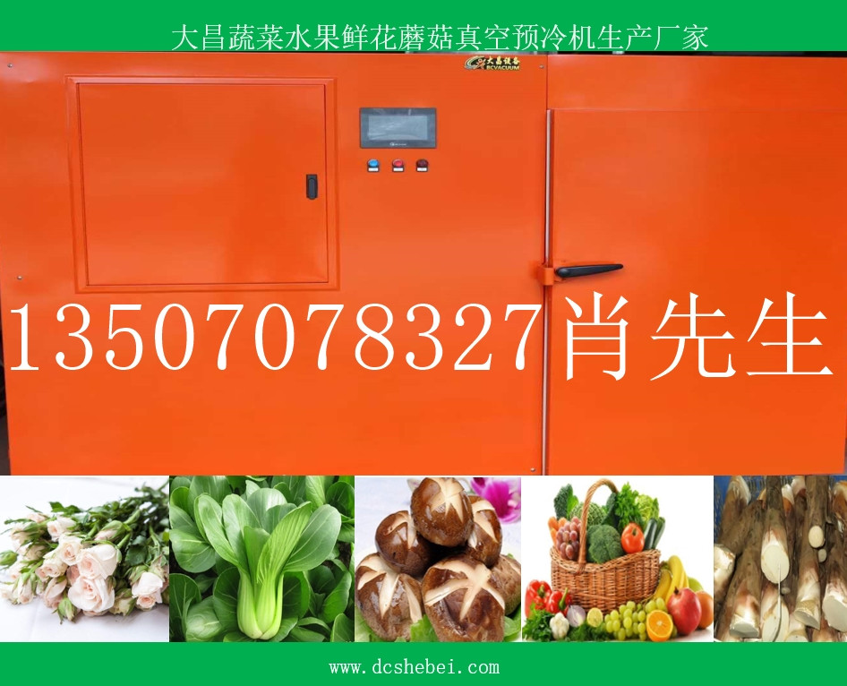 双槽蔬菜真空预冷机厂家  双槽真空预冷机  车载式果蔬真空预冷机  果蔬真空预冷设备