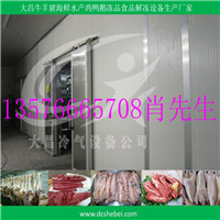 牛羊猪海鲜家禽低温高湿解冻机  羊肉解冻设备  鸡肉解冻设备
