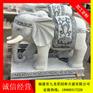 石材大象雕刻 精品石雕大象 一对大象多少钱