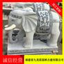 吉祥石雕大象的寓意 石雕大象厂家惠安九龙星