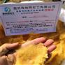 贵州省混床抛光树脂厂家电话