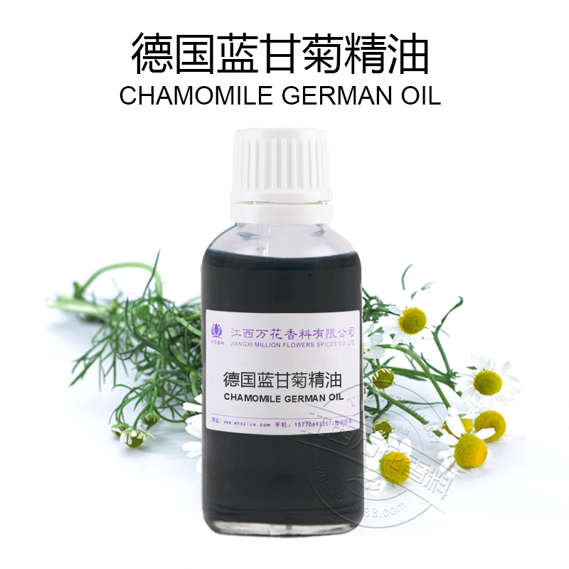 德国洋甘菊精油 单方精油 8022-66-2  德国洋甘菊精油厂家  德国洋甘菊精油价格