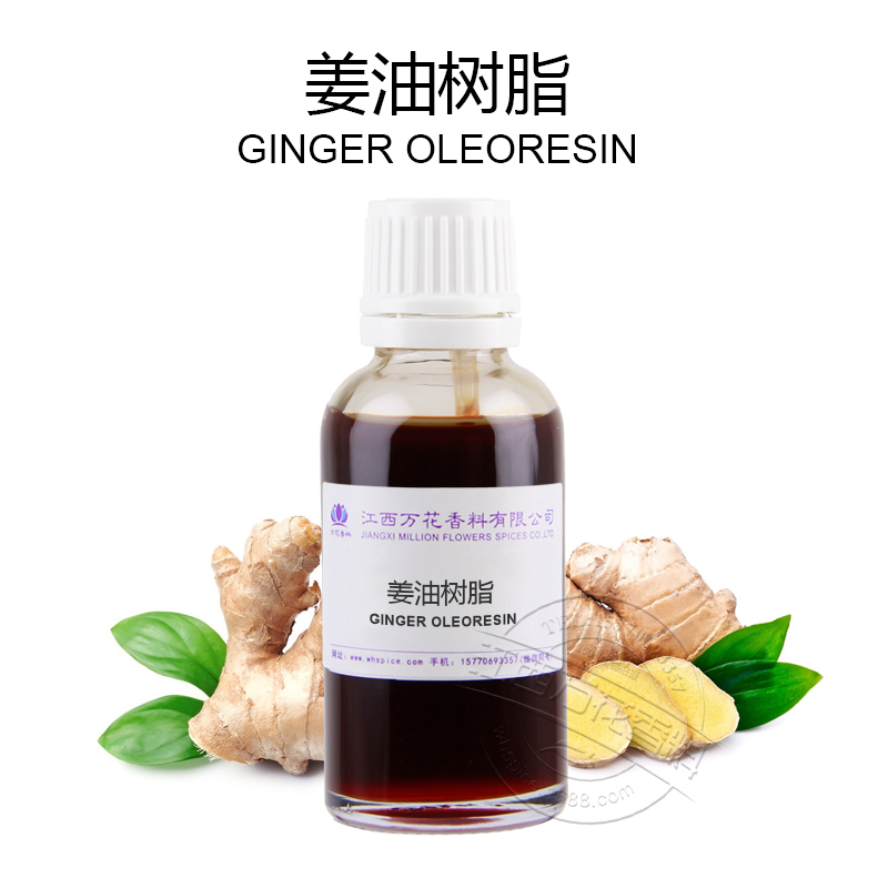 姜油树脂 单方精油 香薰芳疗刮痧按摩精油  姜油树脂厂家  姜油树脂价格