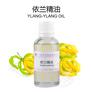 现货供应依兰依兰精油 单方精油 香薰芳疗护肤精油