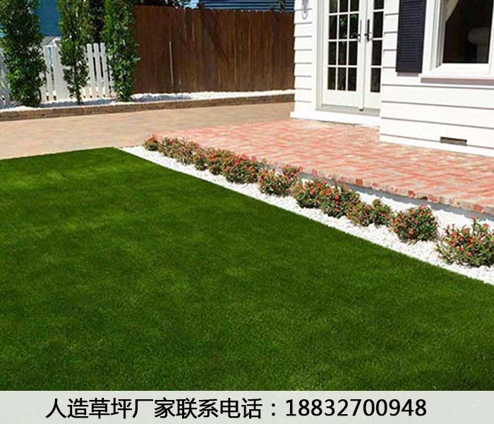 北川草坪价格品牌承德