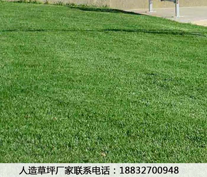 松溪室内人造草坪厂家排名正定