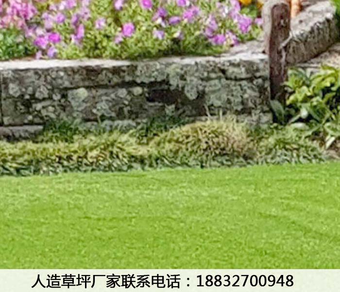 双柏球场人造草皮得多少钱鸡泽