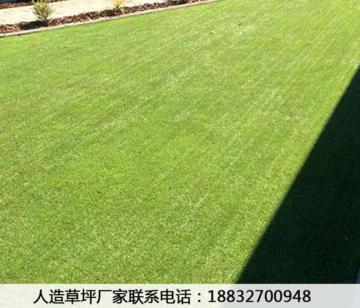 那曲围挡工程有毒吗永清