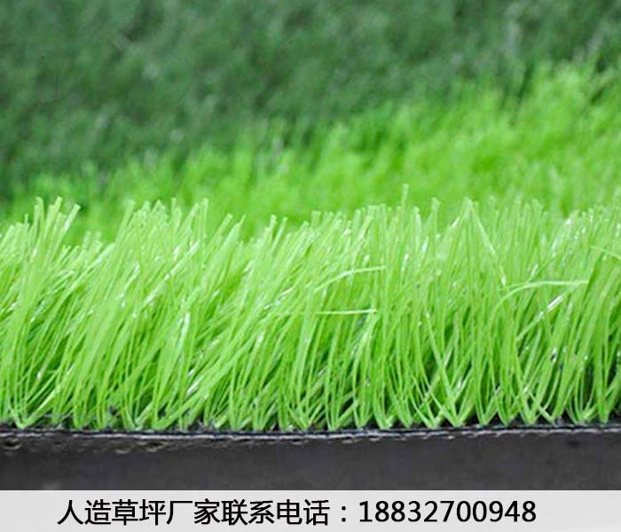 相城草坪廠家施工辛集