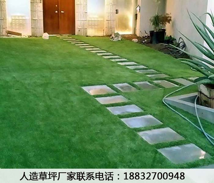 丹江口草坪生产厂家厂商井陉