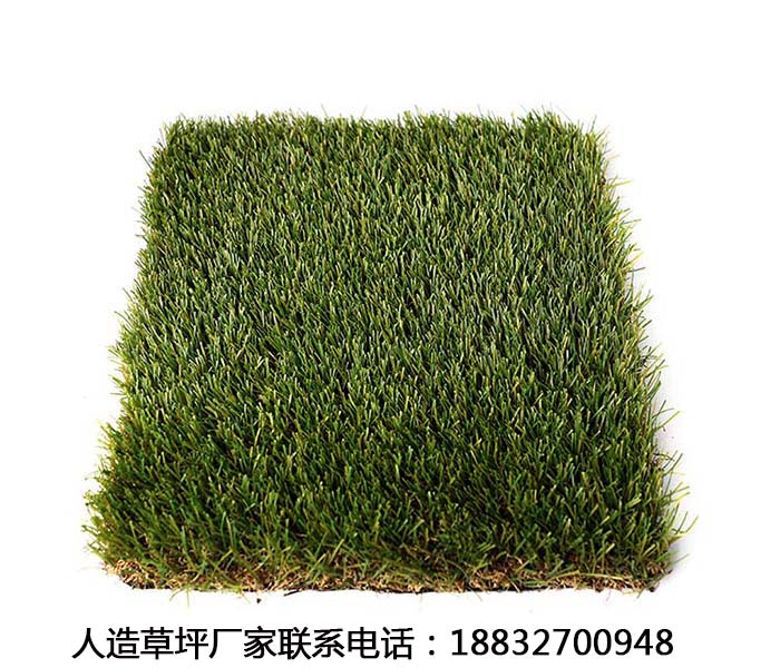 房縣人造草皮價格施工視頻磁縣