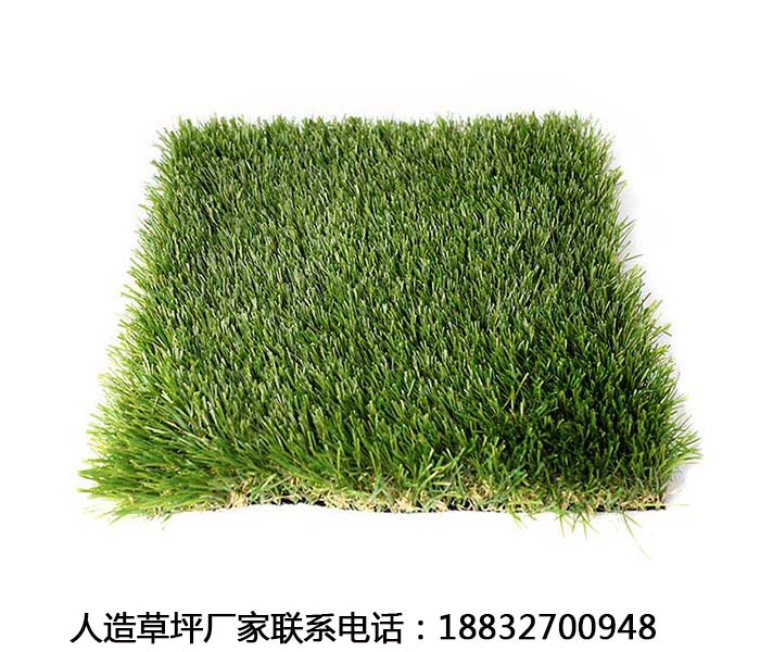 屯昌室外人造草皮有毒吗海港