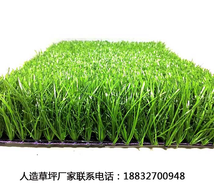 扶余环保型人造草坪施工教程威县