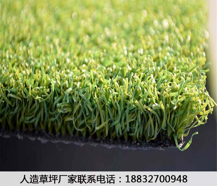 丹江口草坪生产厂家厂商井陉