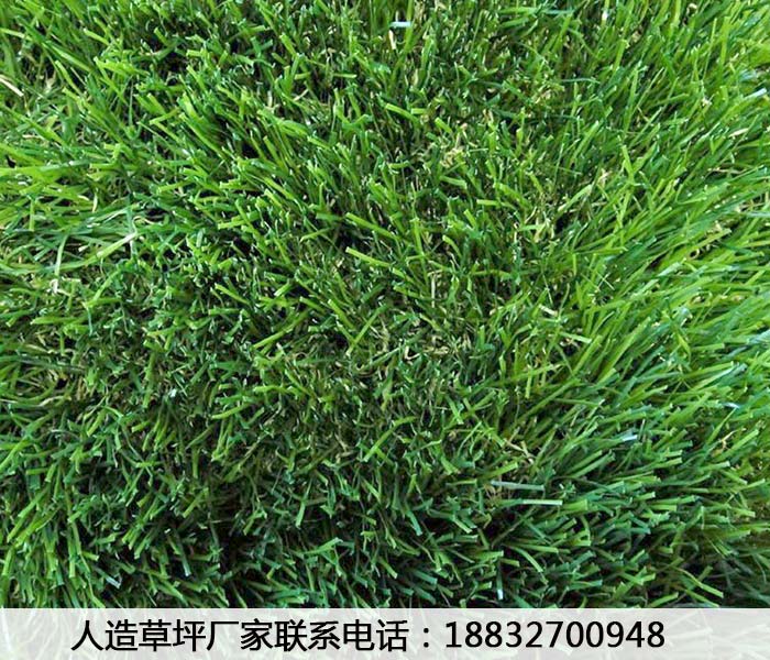 花园人造草坪河北秦皇岛报价