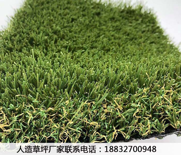 小店草皮出售施工教程大名