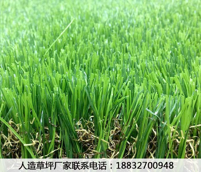 颍东人造草坪外贸生产厂家涿鹿