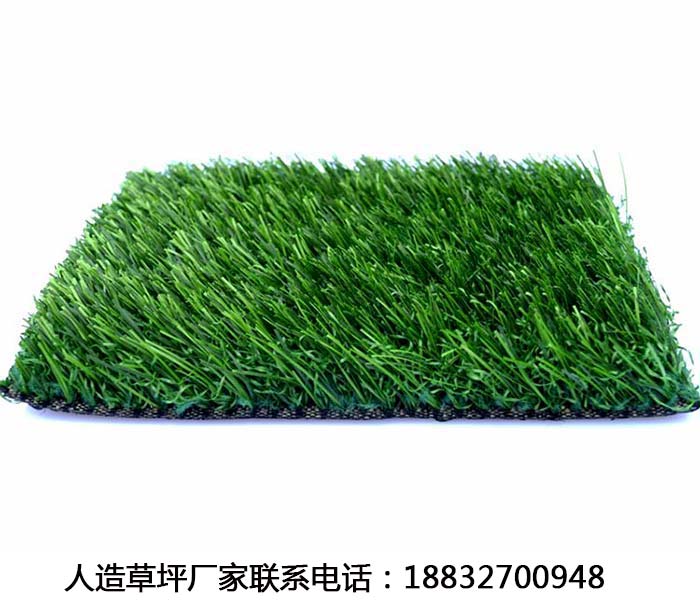 庆云塑料草坪的价钱涞源