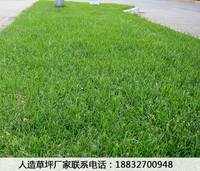 高唐人造草皮围挡厂家排名元氏