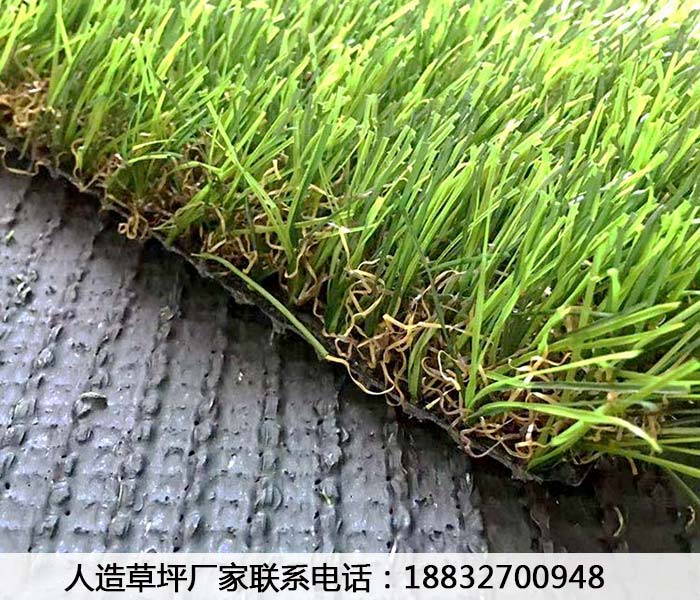 札达塑料草皮前十安国