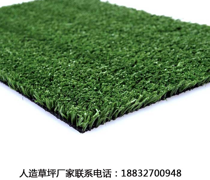 松山草坪批发价格多少钱平泉