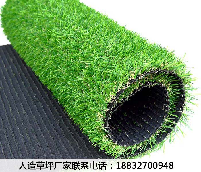 松山草坪批发价格多少钱平泉