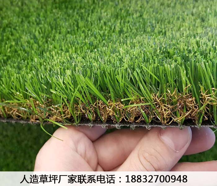 花都墙面25cm草皮国际认证