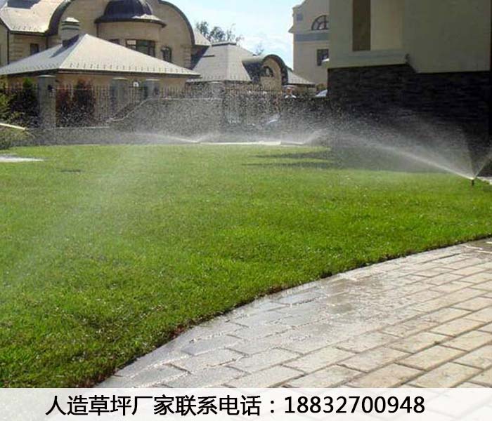 肃南白色人造草坪的价格栾城