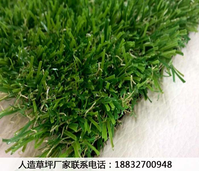 富顺屋顶绿化人造草坪多少钱一平柏乡