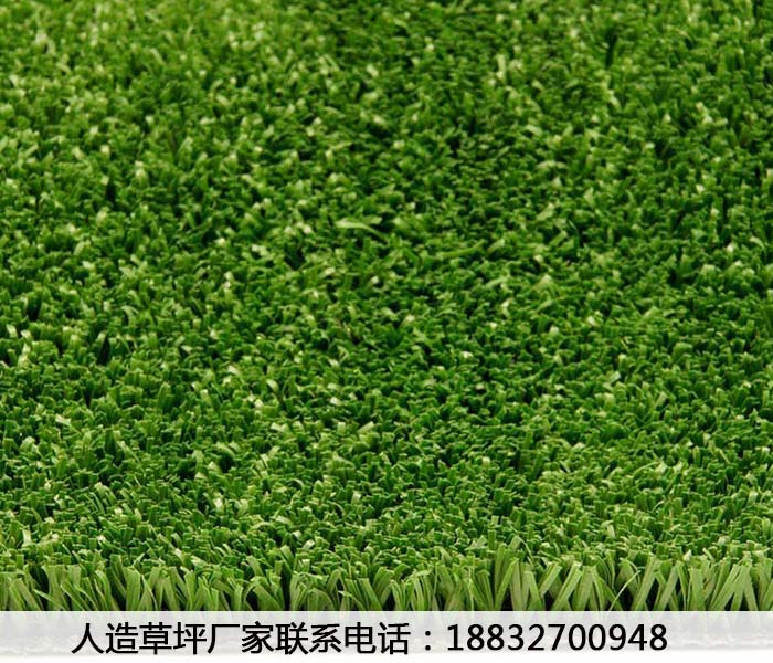 梨树人造草坪围墙2019年价格行唐