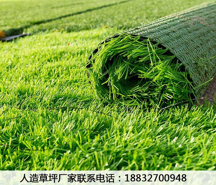 扎鲁特旗石家庄草坪价格多少钱永清