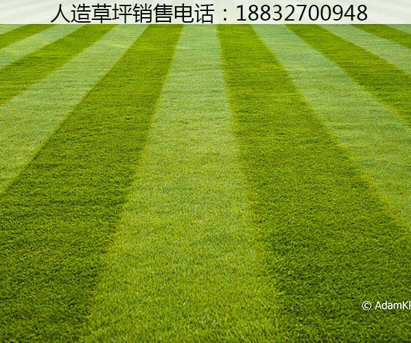 刚察运动场人造草坪厂家联系电话故城