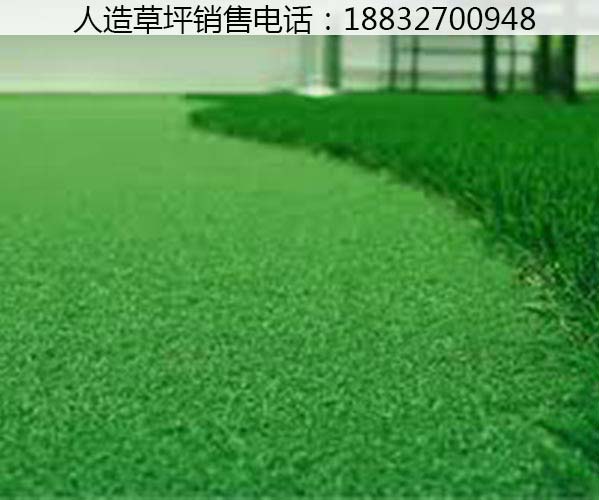 扶余环保型人造草坪施工教程威县