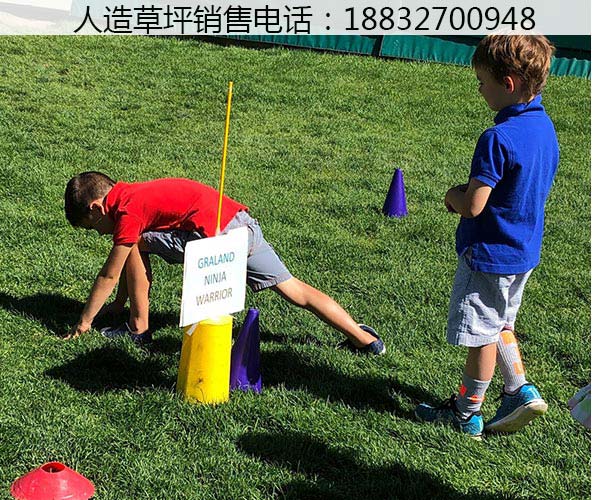 扎鲁特旗石家庄草坪价格多少钱永清