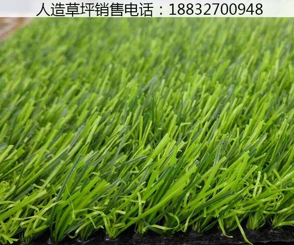 松山草坪批发价格多少钱平泉